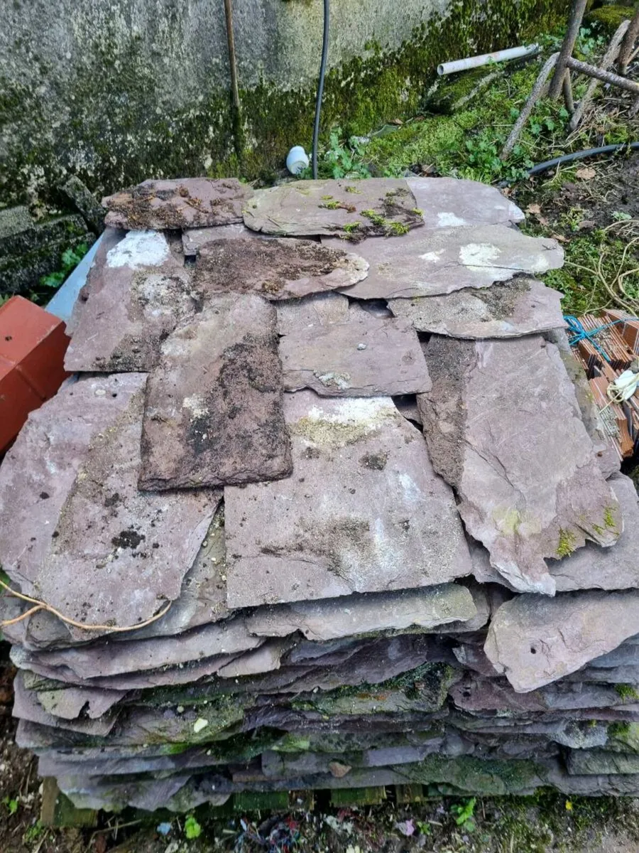 Blue Bangor slates - Image 1