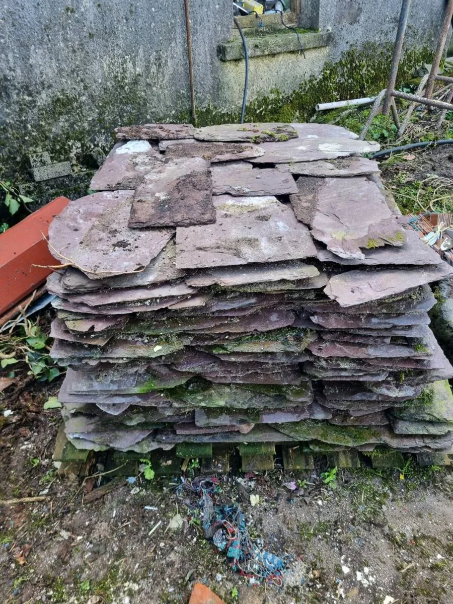 Blue Bangor slates - Image 2