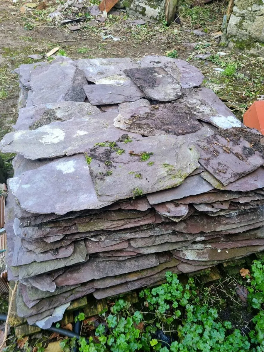Blue Bangor slates - Image 3