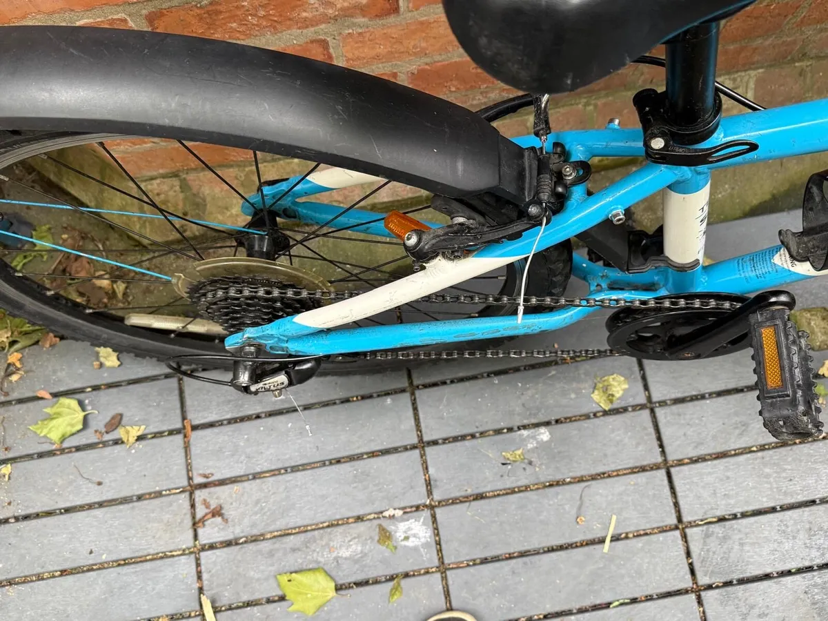 Frog bike - Image 2