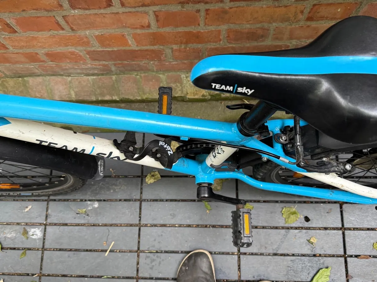 Frog bike - Image 3