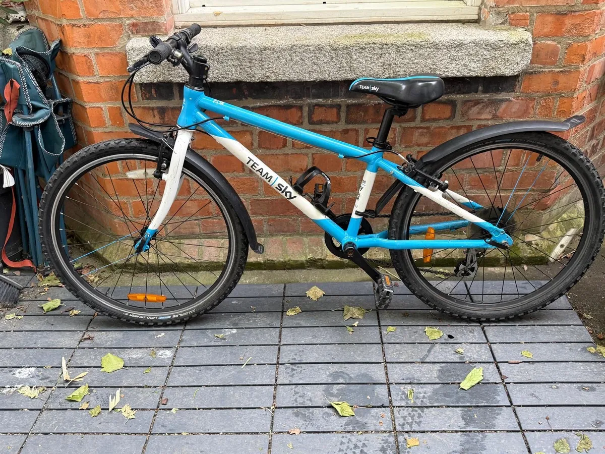 Frog bike - Image 4
