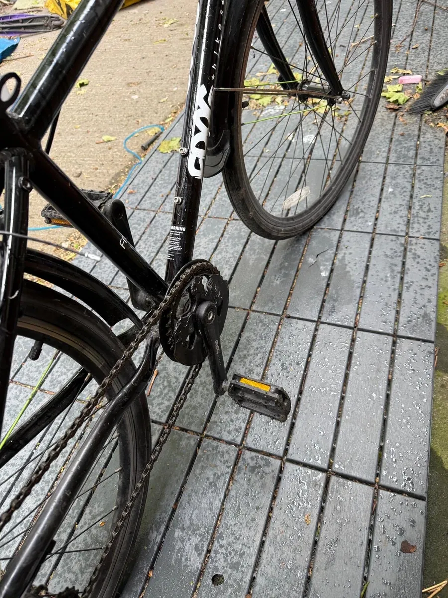 Frog bike - Image 2