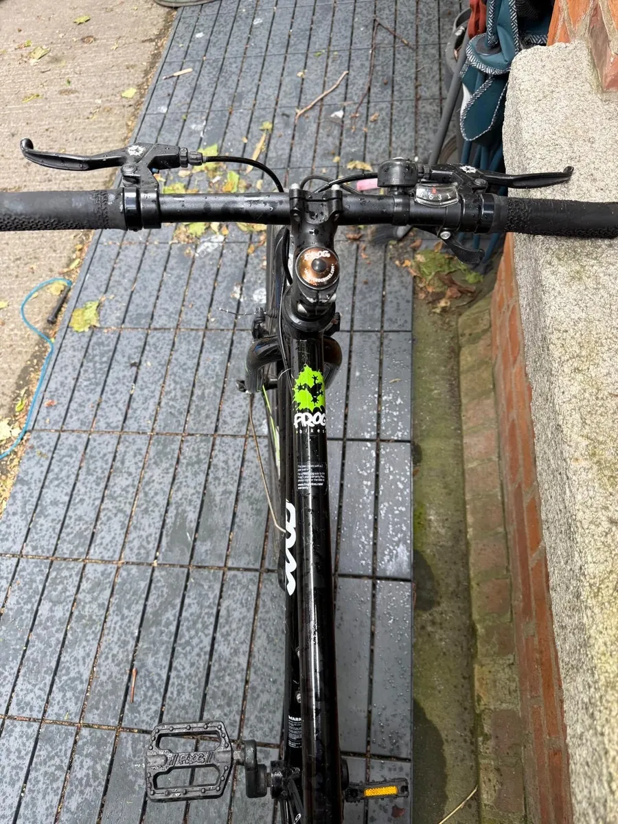 Frog bike - Image 4