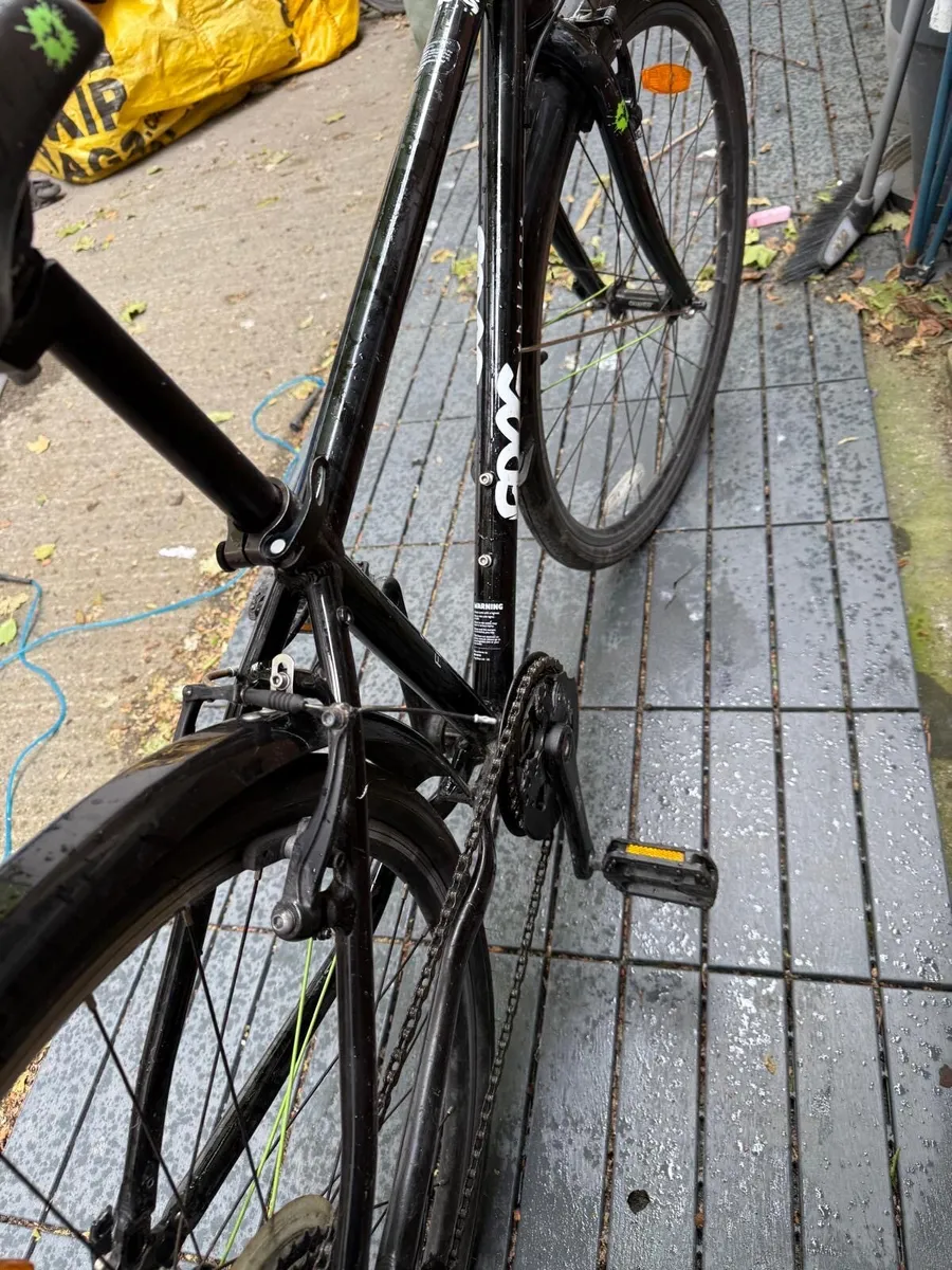 Frog bike - Image 3