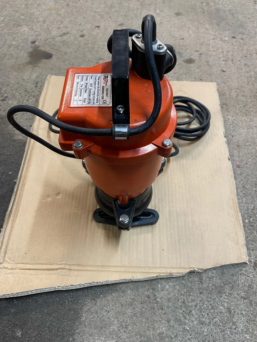 Brand New 240v Pd Pro submersible pump - Image 2