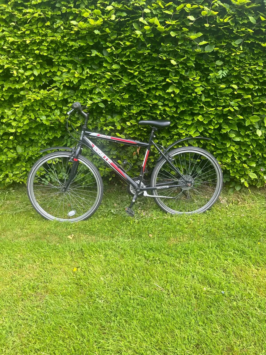Bike - Image 1