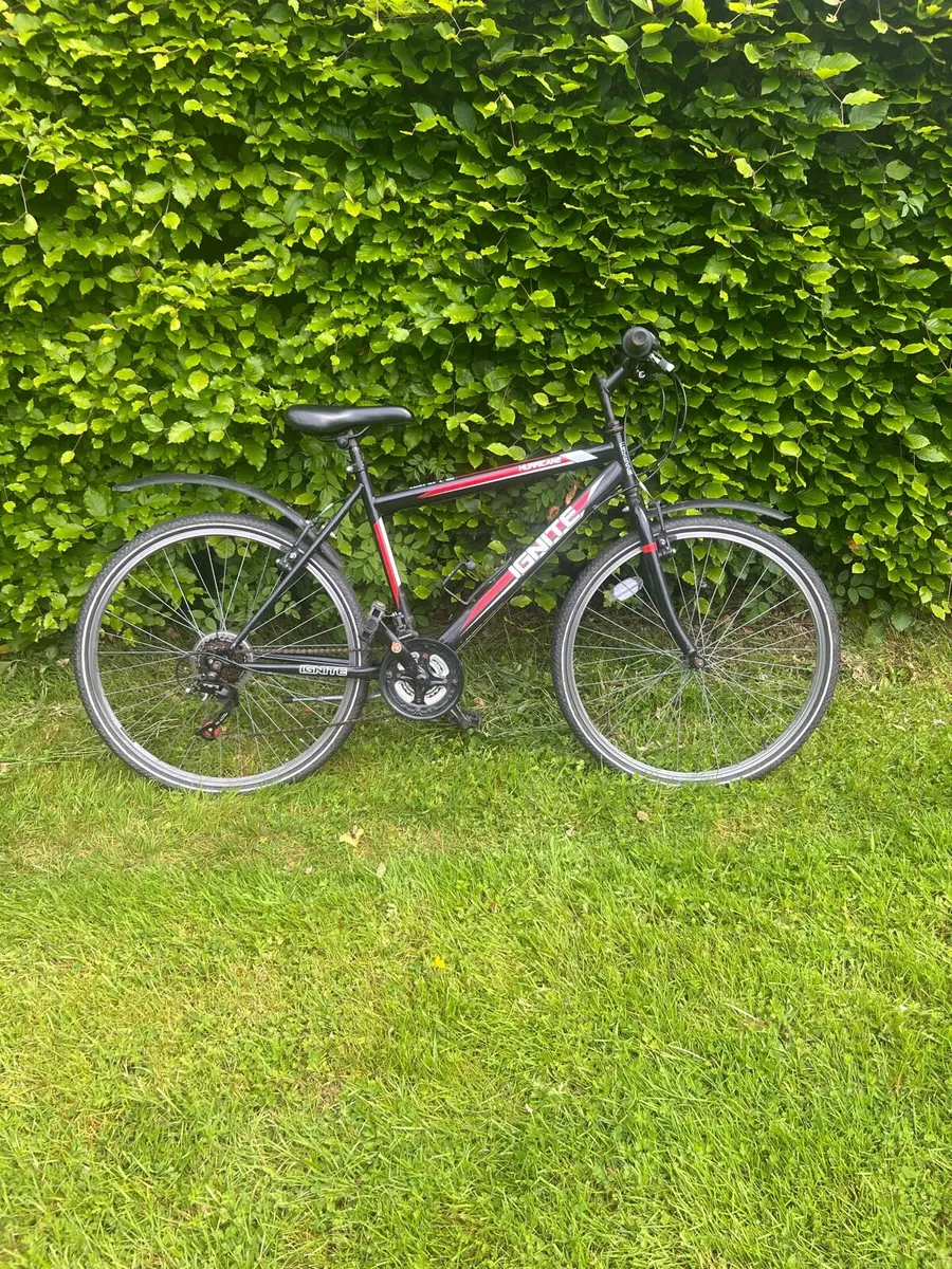 Bike - Image 2