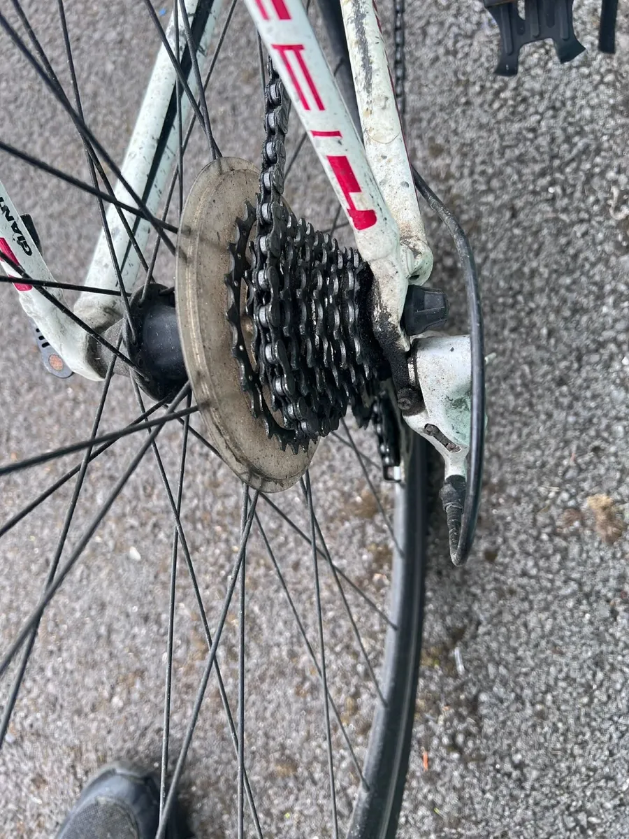 Bicycle - Image 4
