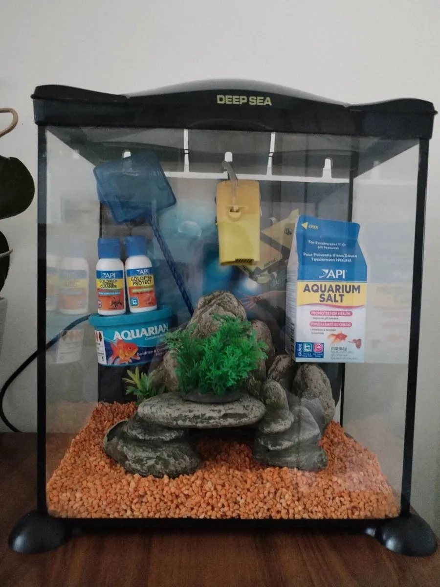 Fish Tank