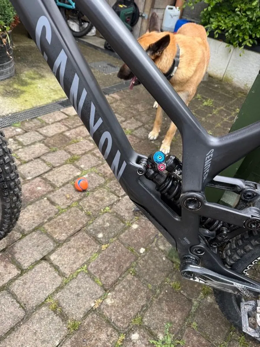 Canyon sender cfr downhill mountain bike - Image 3
