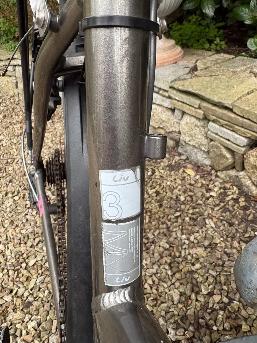 Ladies bike - Image 2