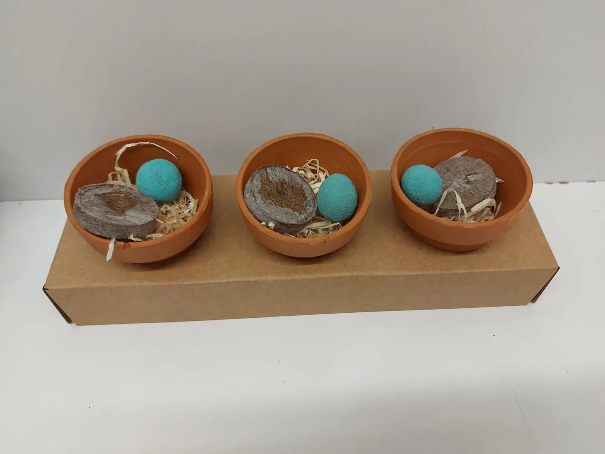 Homeware Auction - Image 1