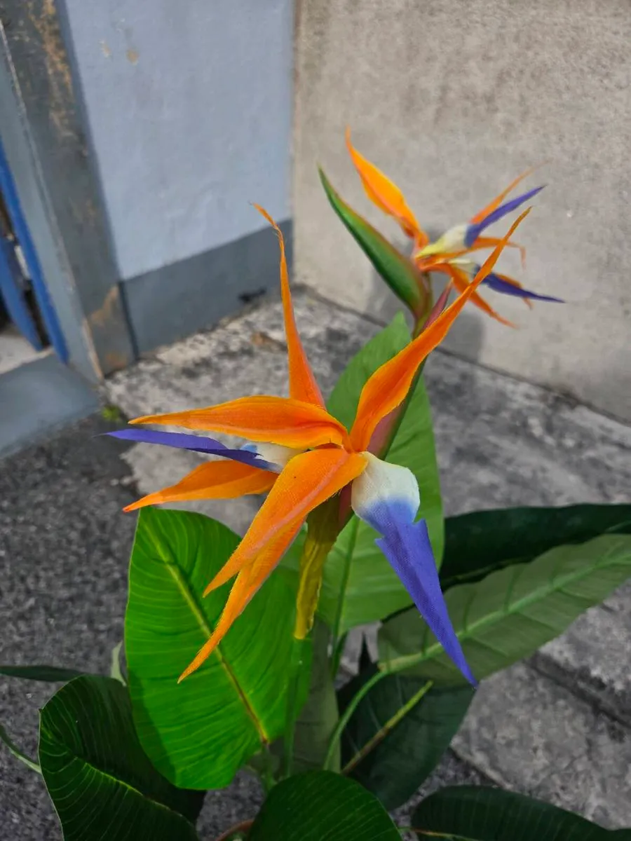 Artifical Plants - Image 2