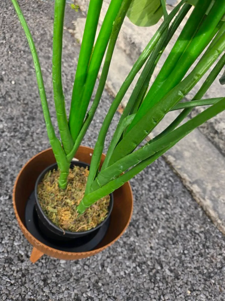 Artifical Plants - Image 3