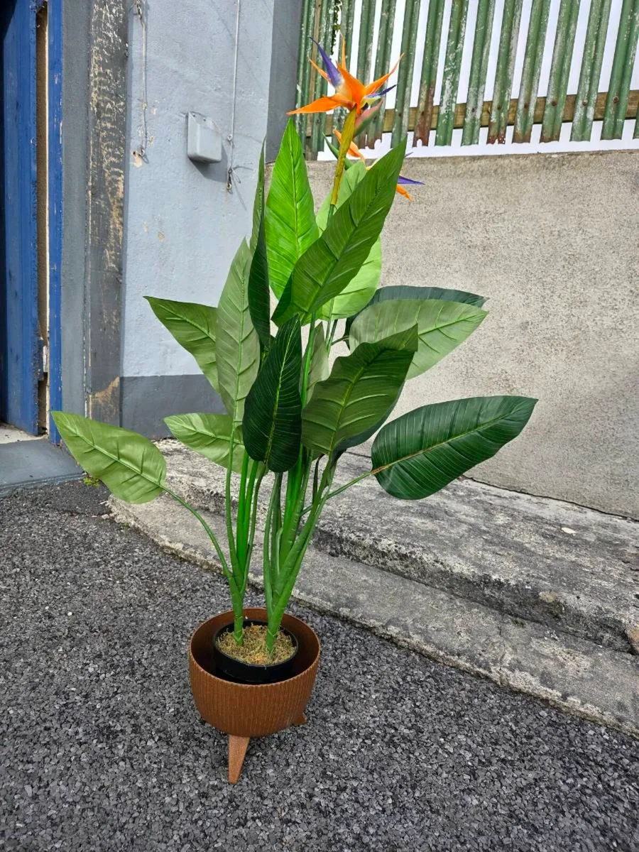 Artifical Plants - Image 4
