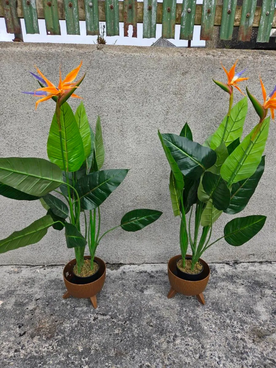 Artifical Plants - Image 1