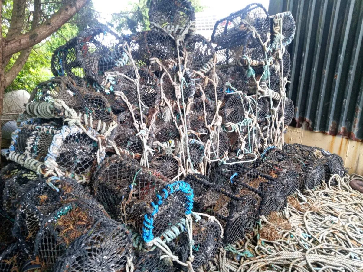 CRAB pots - Image 2