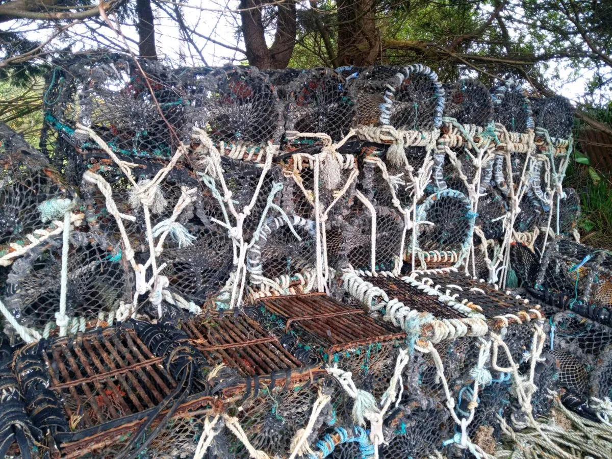 CRAB pots - Image 3