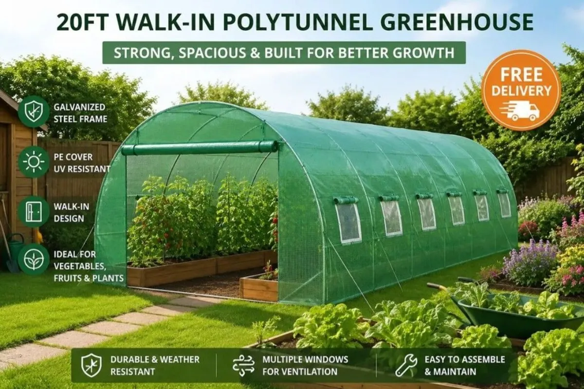 Polytunnel 20ft Galvanized Frame PE Cover Green Wa - Image 2