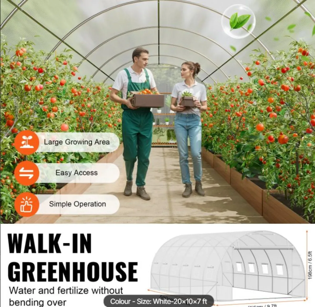 Polytunnel 20ft Galvanized Frame PE Cover Green Wa - Image 3