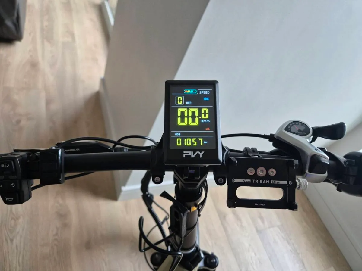 E bike - Image 2