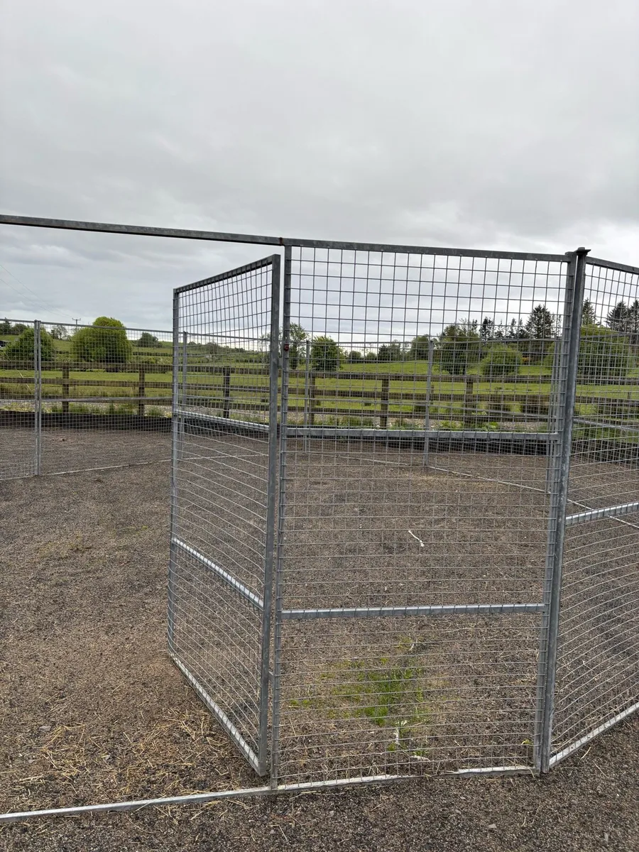 Horse/Pony Round Pen - Image 1