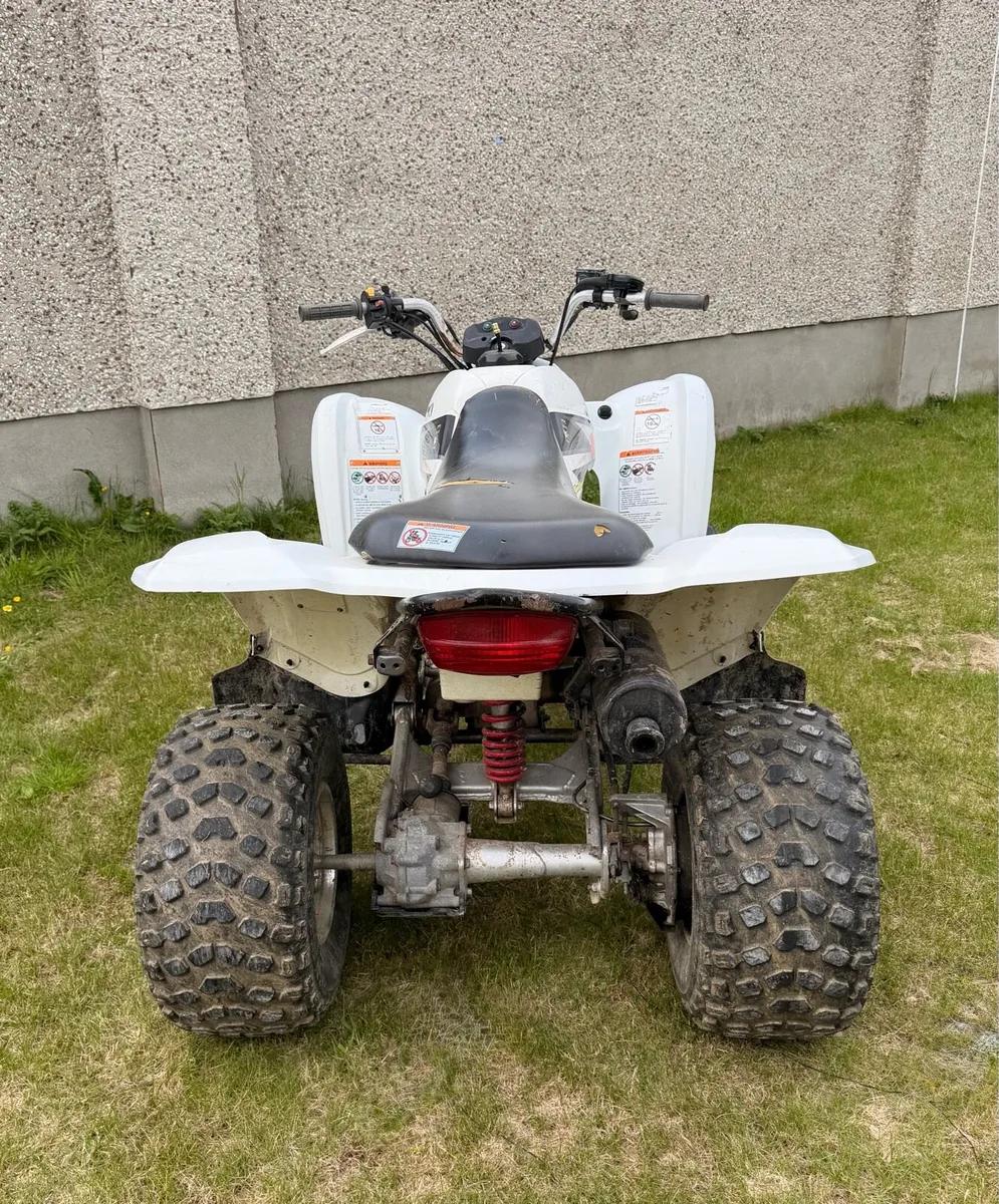 Suzuki LTZ250 Low Hours – Clean Original Bike - Image 3