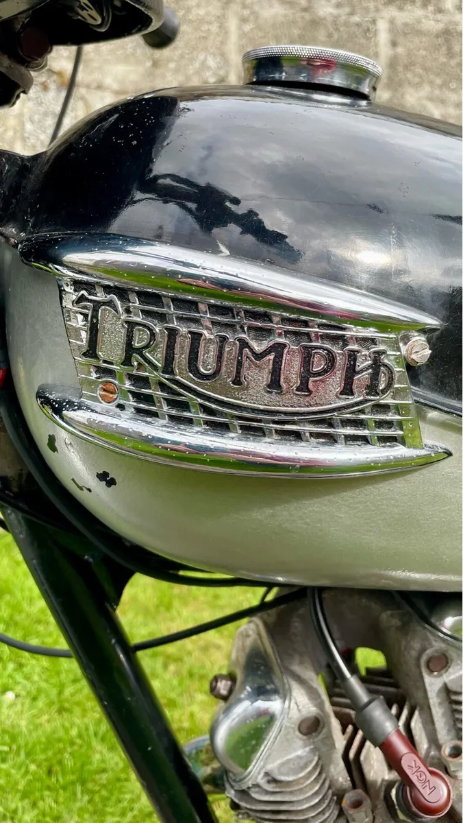 Triumph Tiger Cub T20 - Image 1