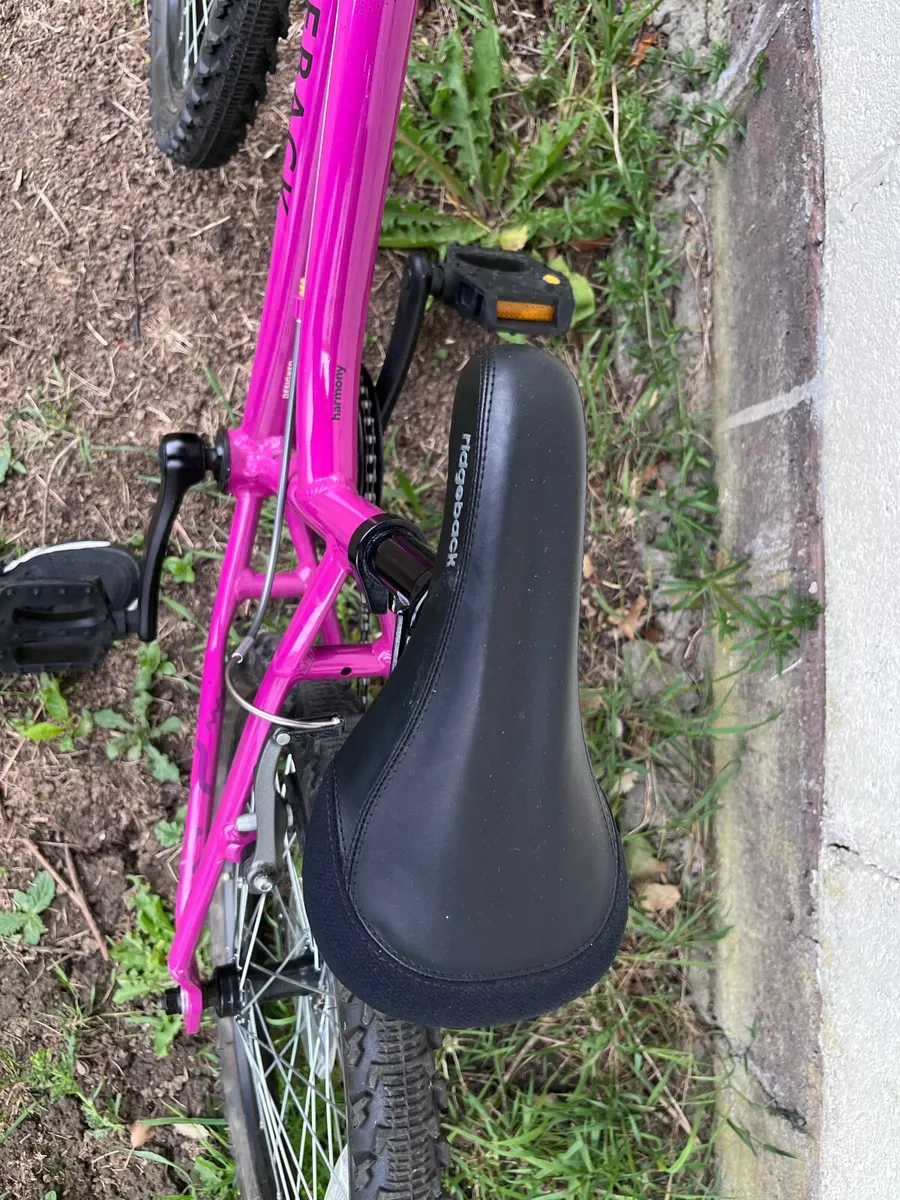 Ridgeback Harmony Bike - Image 4
