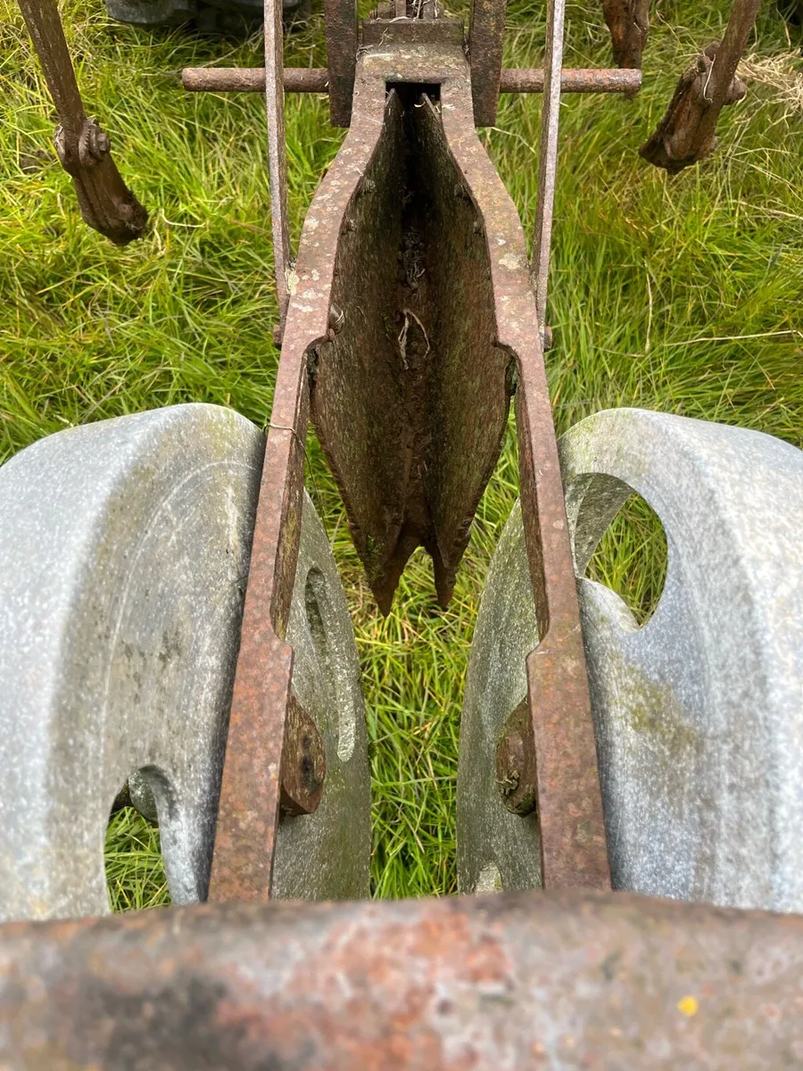 Cabbage Planter - Image 2