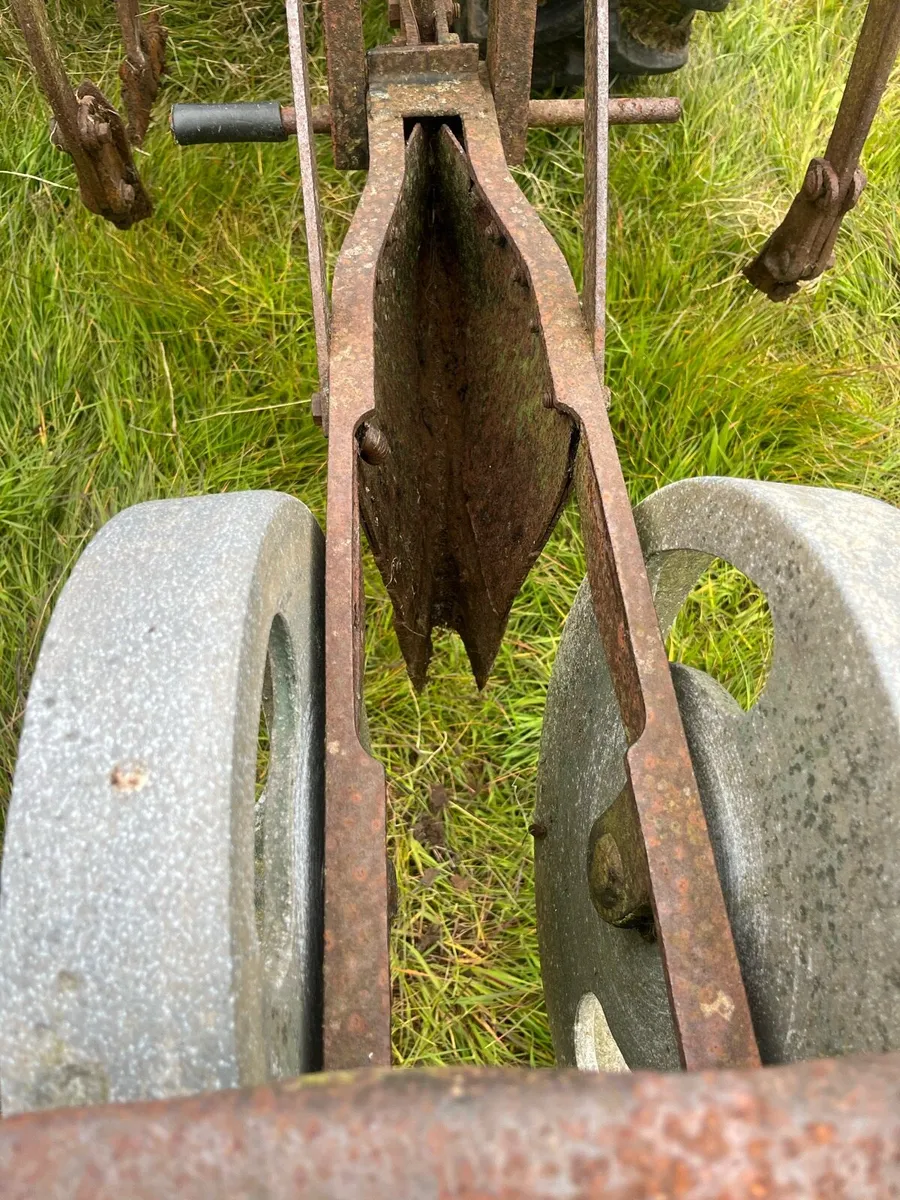 Cabbage Planter - Image 3
