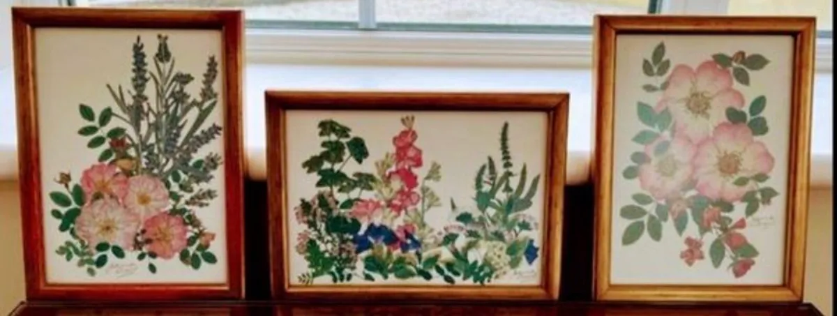 Botanical pressed flowers - set of 3 - Image 1