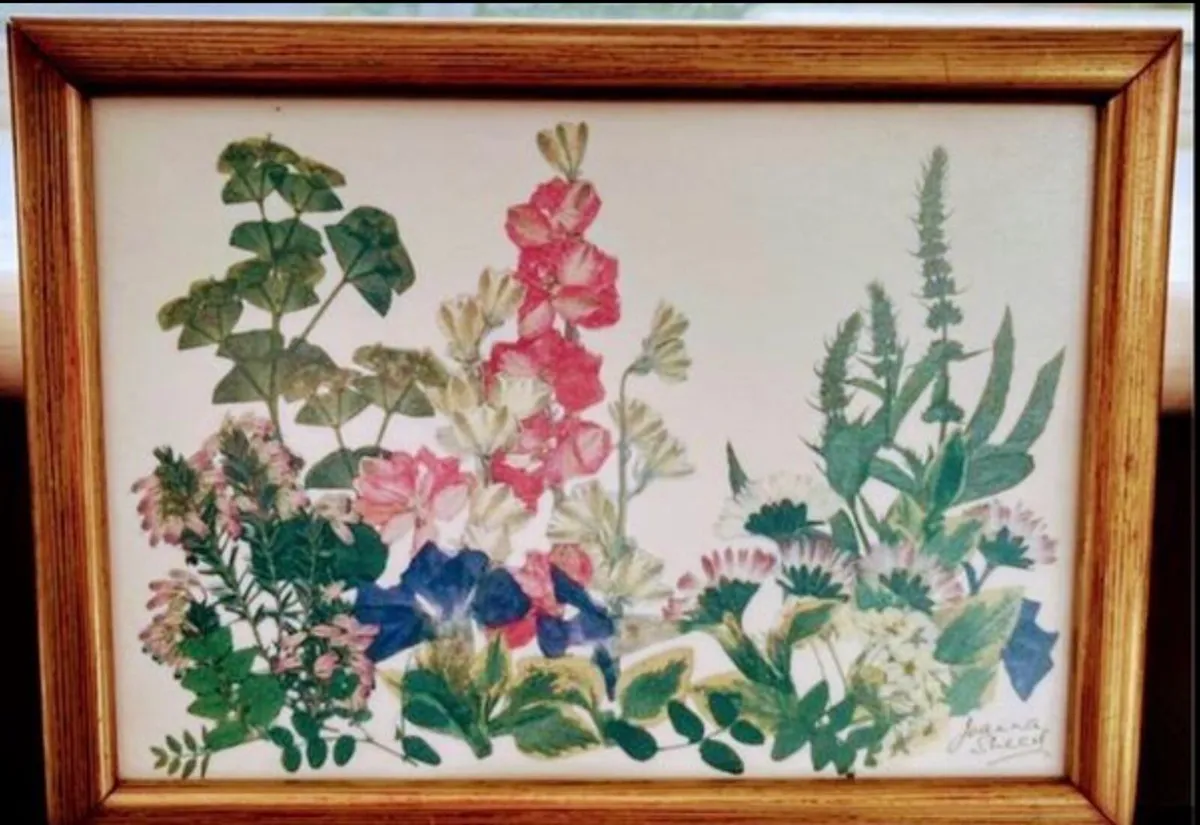 Botanical pressed flowers - set of 3 - Image 2