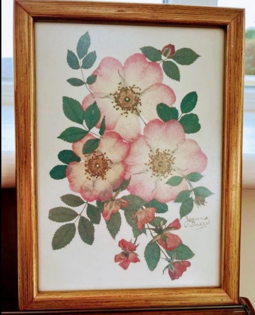 Botanical pressed flowers - set of 3 - Image 3