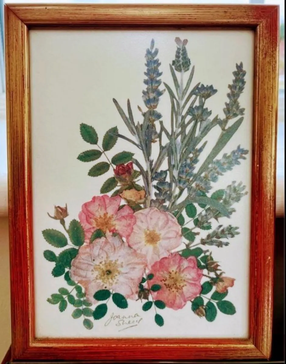 Botanical pressed flowers - set of 3 - Image 4