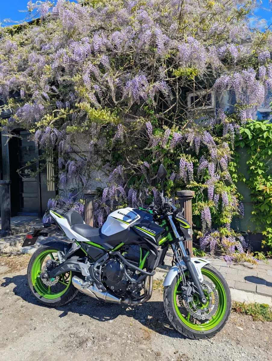 Kawasaki Z650 2021 - Image 2