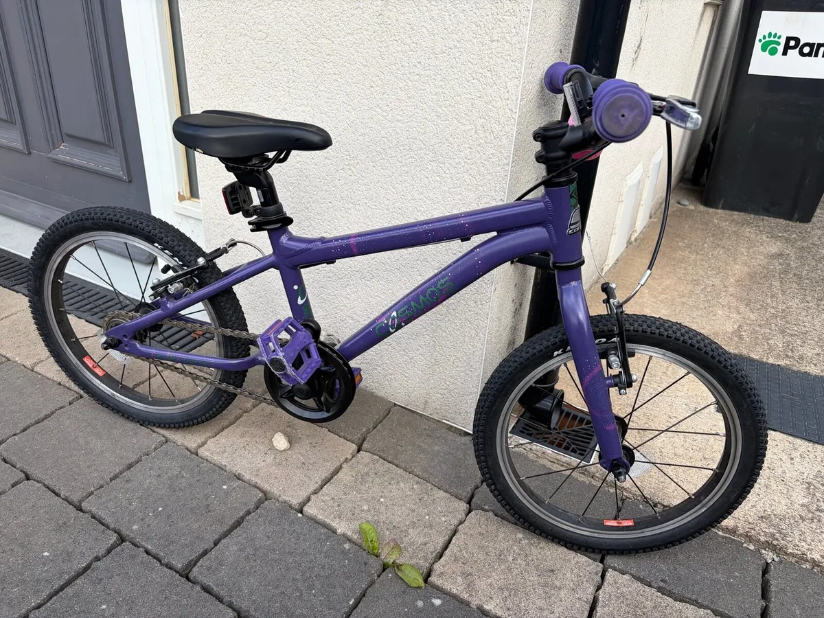 Carrera Cosmos Kids Bike - Image 1