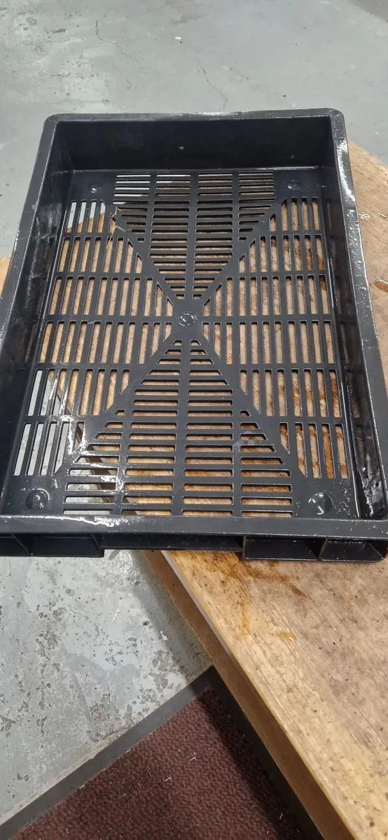 Plastic Trays  60cm x 40cm x 8cm deep - Image 2