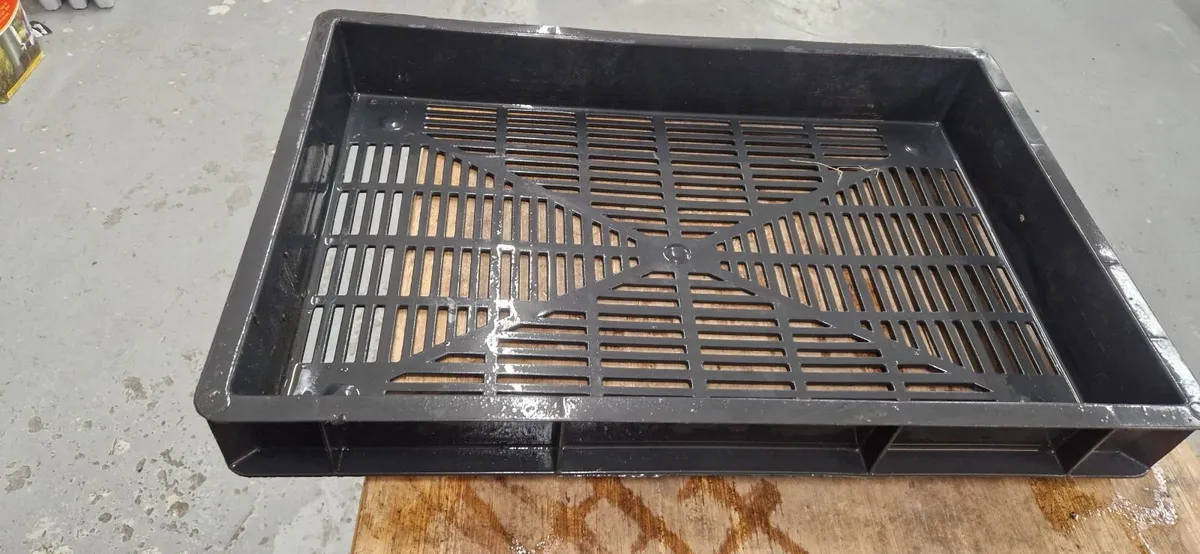 Plastic Trays  60cm x 40cm x 8cm deep - Image 3
