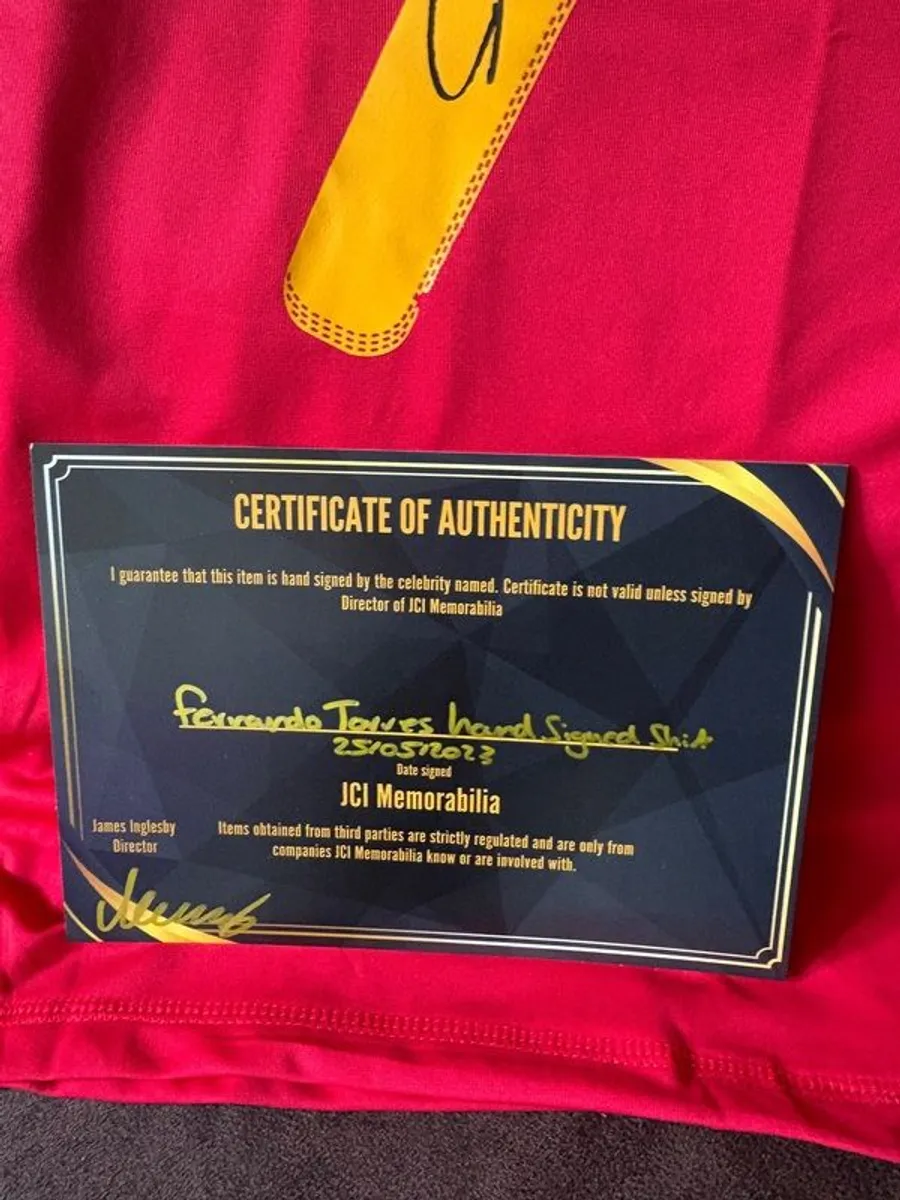 Fernando Torres signed Spanish jersey - Image 3