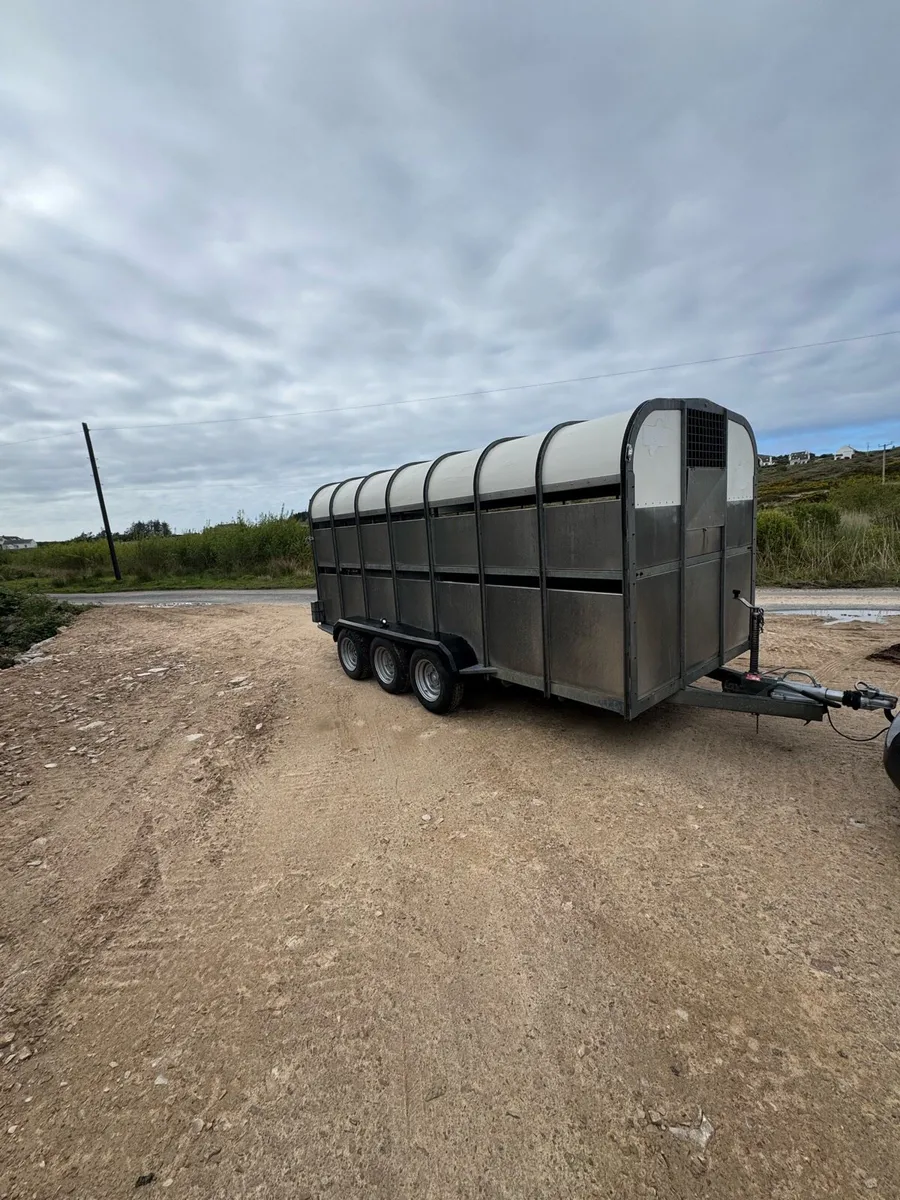 Cattle & Sheep Trailer - Image 1