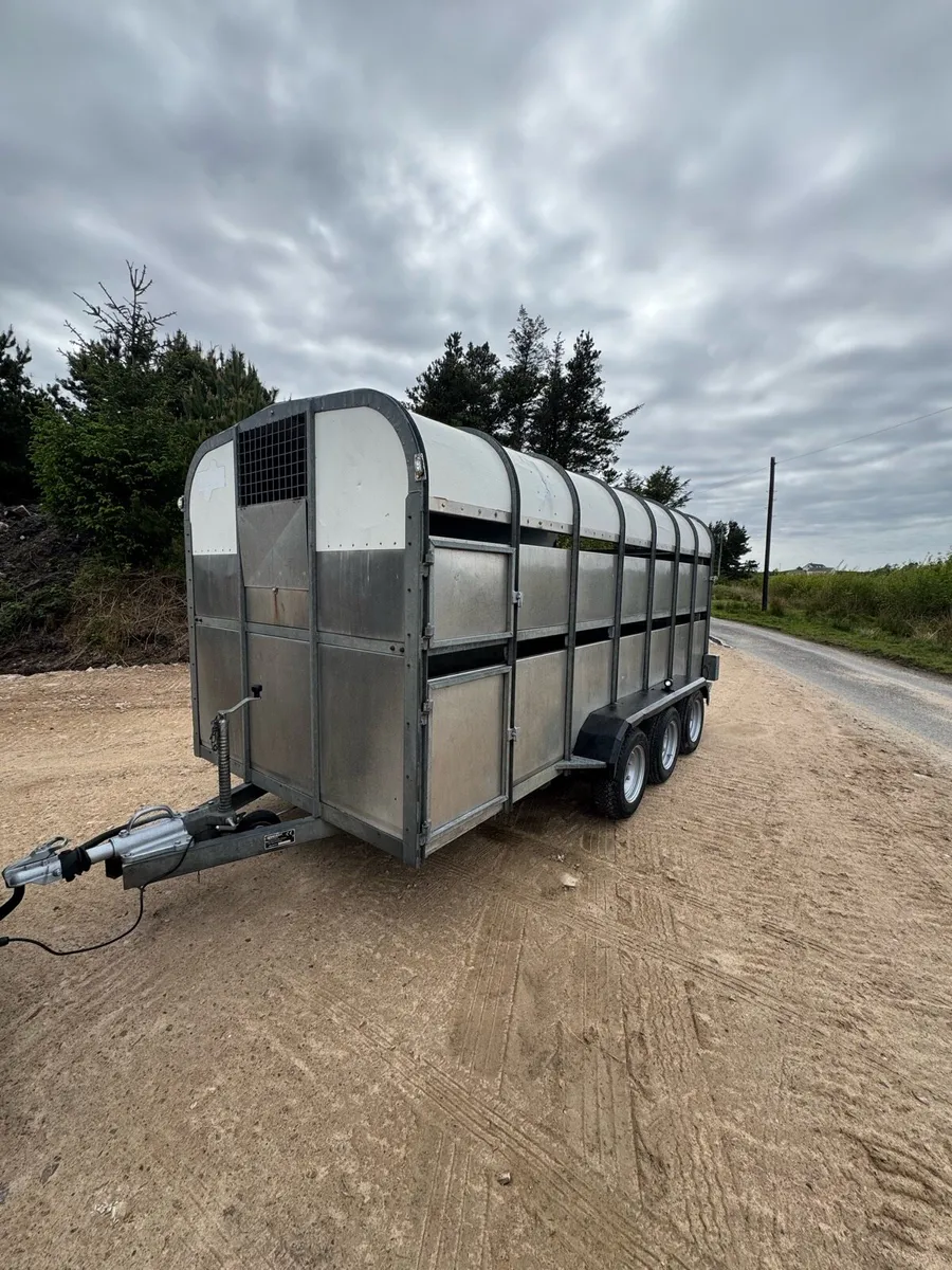 Cattle & Sheep Trailer - Image 2