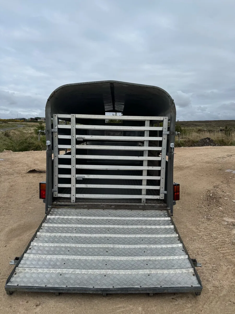 Cattle & Sheep Trailer - Image 4
