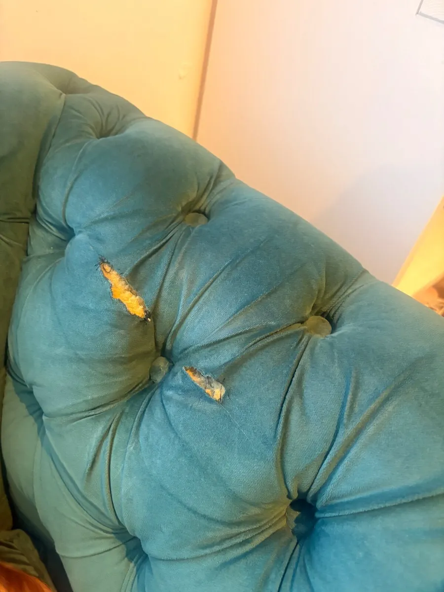 Couch - Image 2