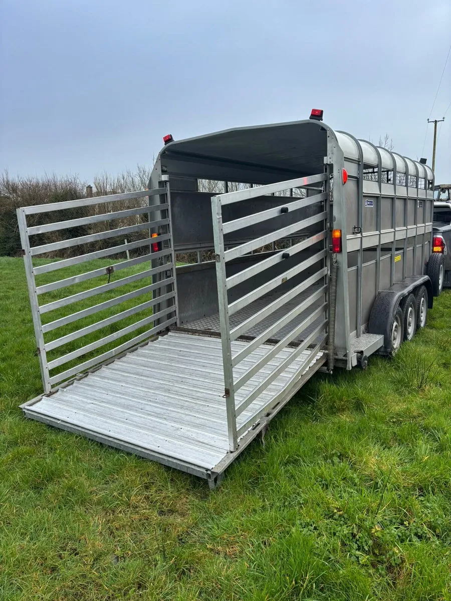 Ifor Williams 14 x 6 cattle box - Image 3