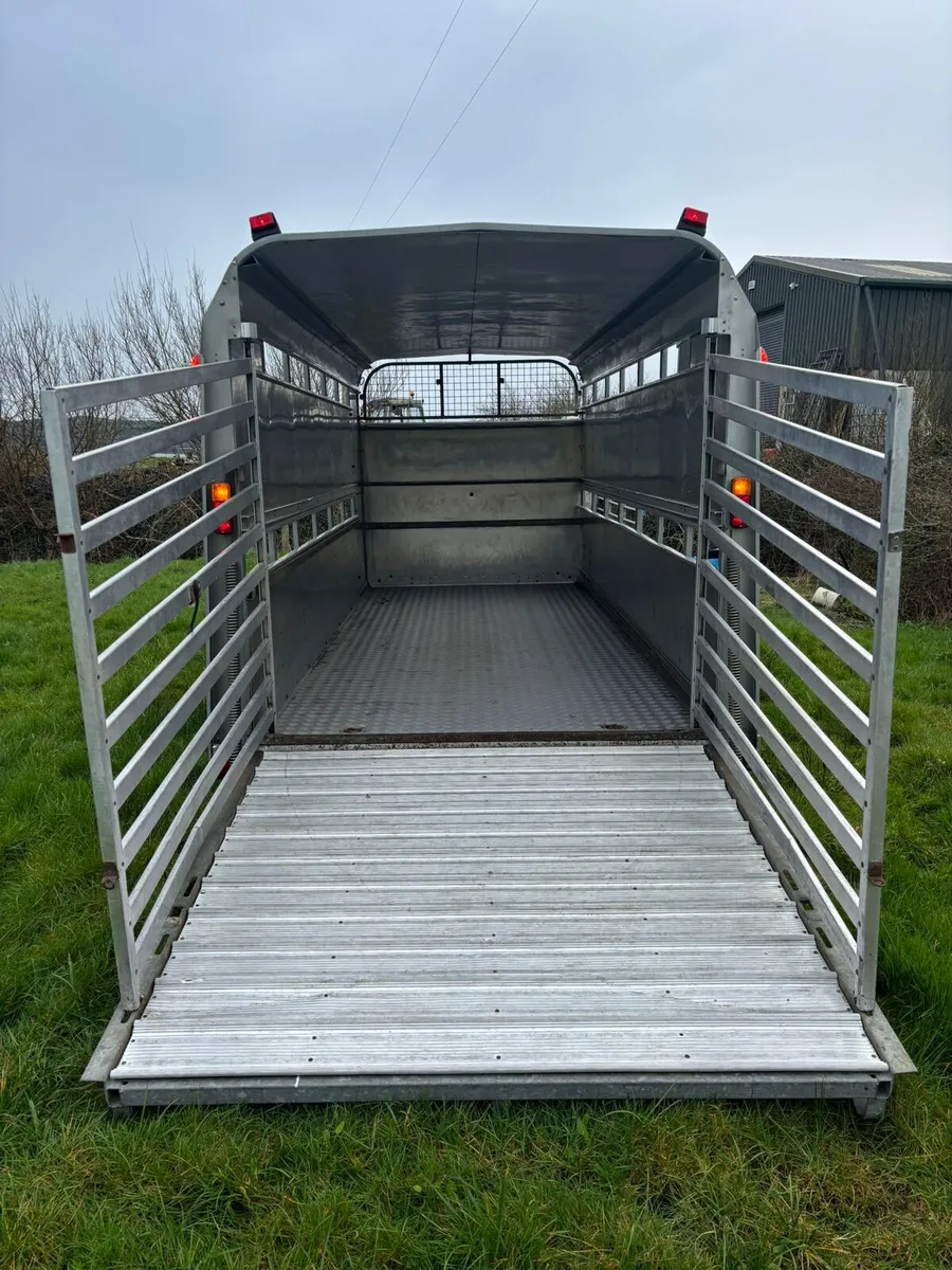 Ifor Williams 14 x 6 cattle box - Image 4