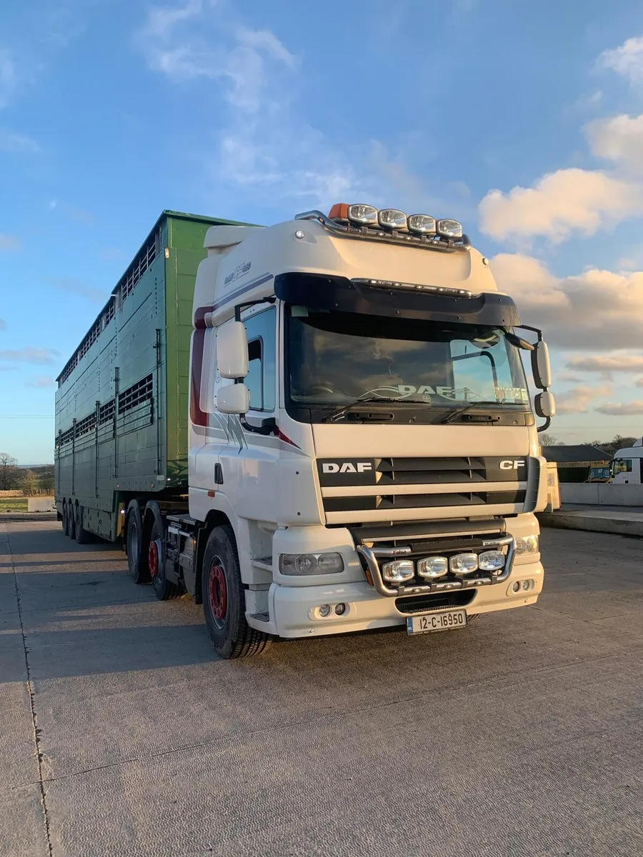 DAF CF 460 EURO 5 - Image 2
