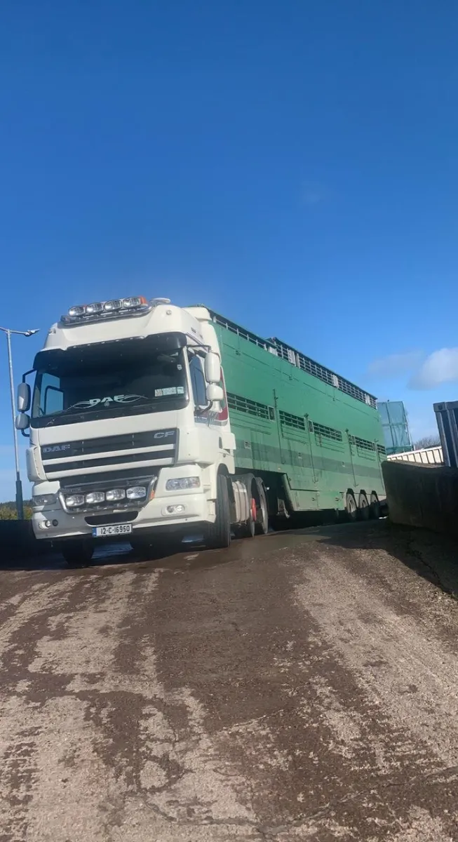 DAF CF 460 EURO 5 - Image 4