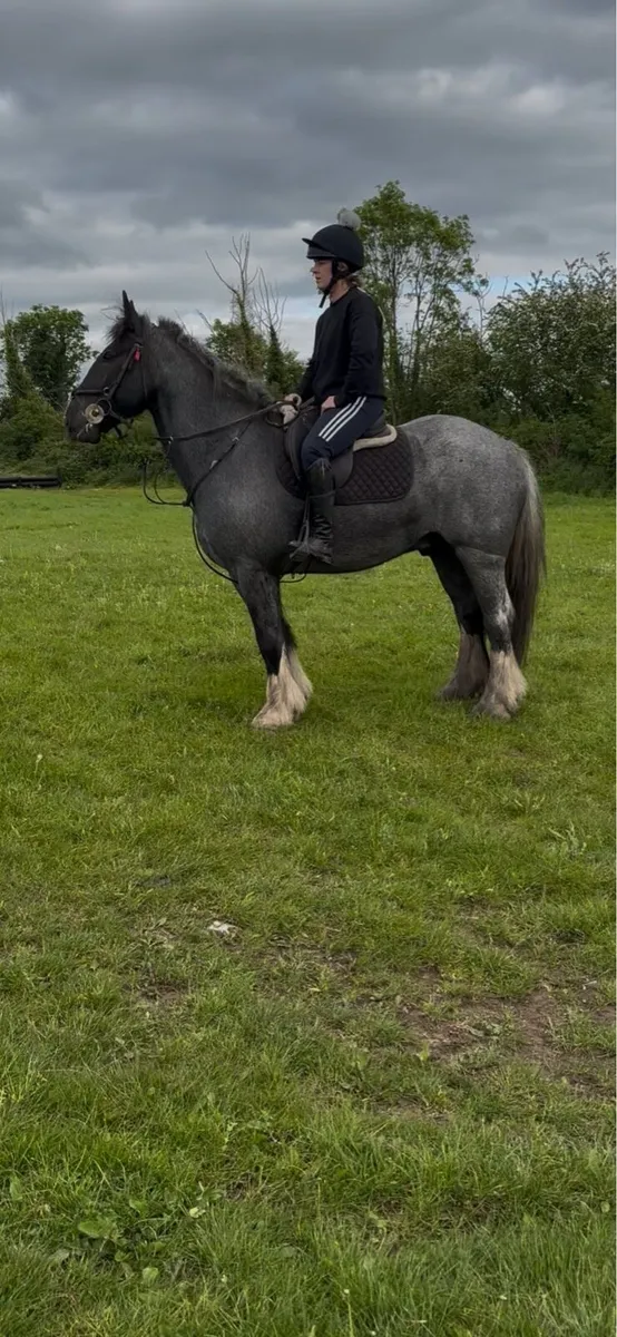 **Cob x Draught** - Image 1